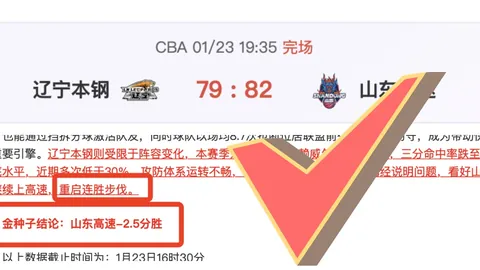 樊振东巴黎奥运会受挫，张本智和笑意难辨，刘丁硕正名：并非众口一词之人