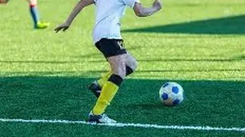 湖人太阳赛事深度解析，篮球精选期号专家质合推荐