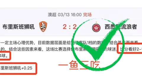 湖人新援东契奇首秀战爵士，与詹皇并肩闪耀登场