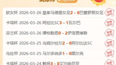 热血对决！意甲焦点战：莱切激战乌迪内斯，比分悬念即将揭晓！